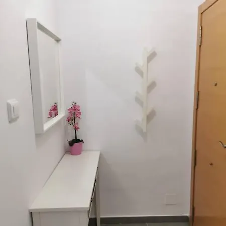 Atico Con Terraza En Centro