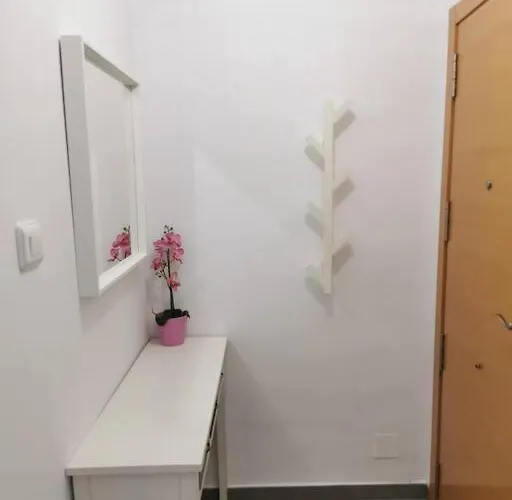 Atico Con Terraza En Centro
